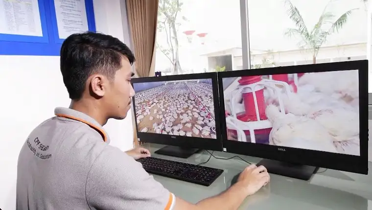 CP Foods Enhances Food Safety Standards with Compartment System to Protect Poultry Production from Bird Flu