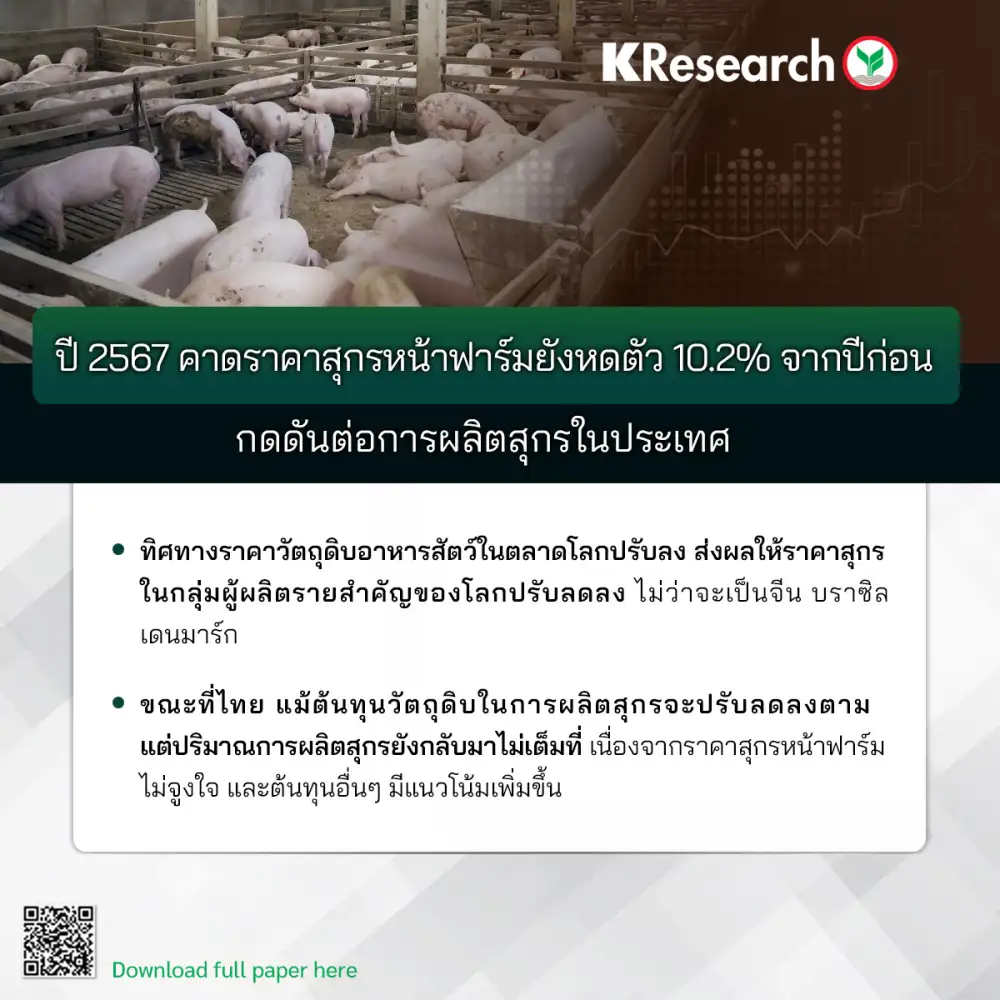 วิจัยกสิกรฯ คาดปี 67 ราคาสุกรหน้าฟาร์มหดตัว 10.2% กดดันการผลิตในประเทศ