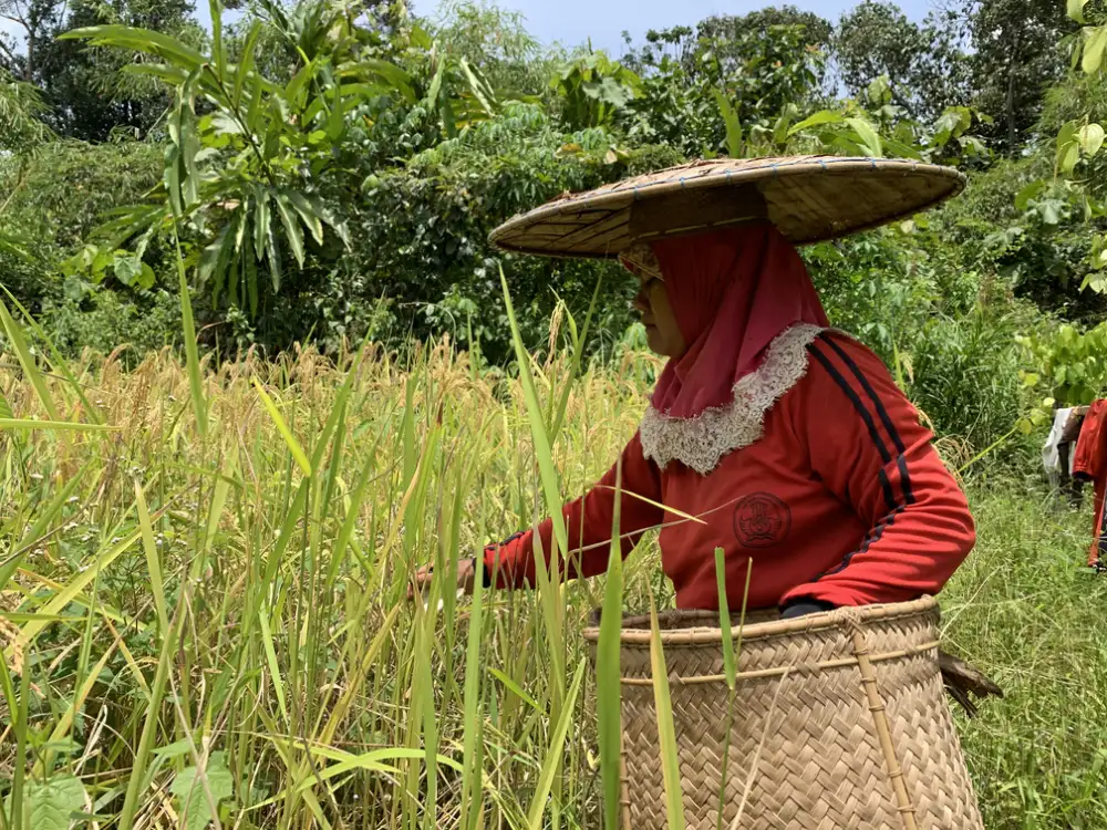 WALHI ต้นแบบชุมชนต่อสู้กับไฟป่าในอินโดนีเซีย