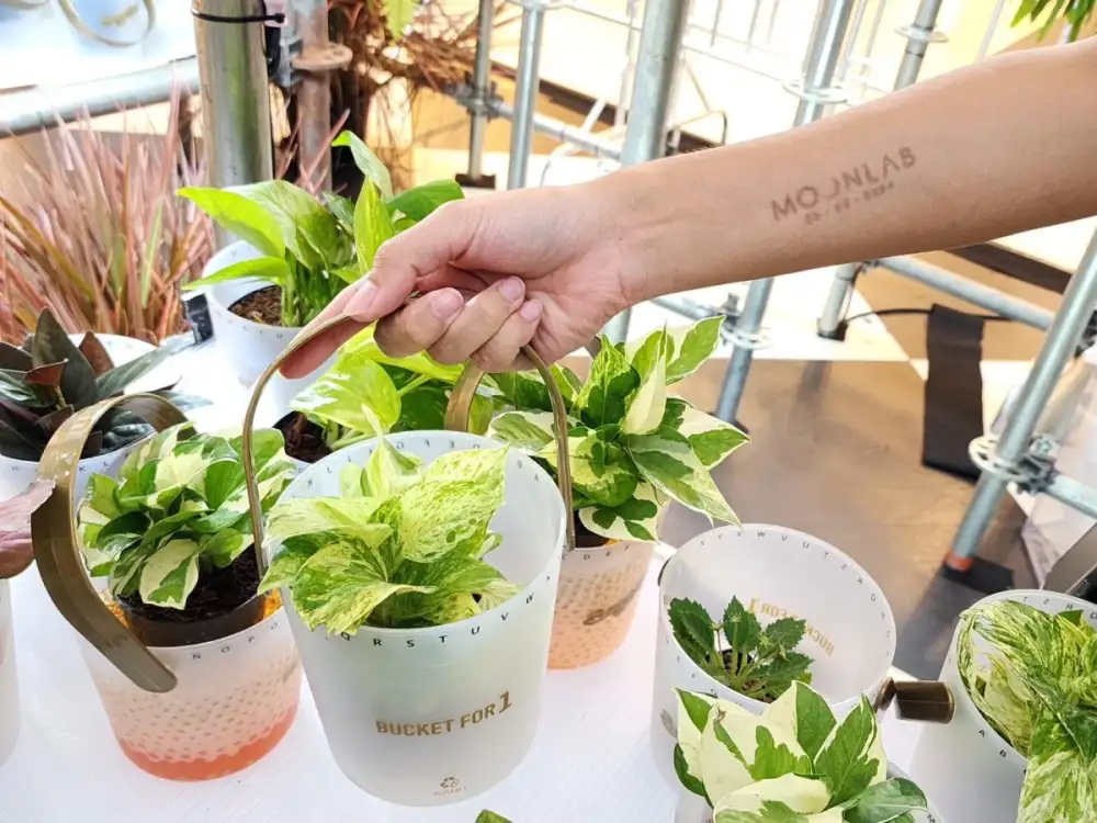 แอสเซทไวส์ ชวนคนรุ่นใหม่รักษ์โลกแบบคูล ๆ ในงาน SangSom MOONLAB จับไอเดียเก๋ มอบต้นไม้ฟรี-เปลี่ยนบัคเก็ตเครื่องดื่ม เป็นกระถางต้นไม้ ชวนนิวเจนลดขยะและเพิ่มกรีนสเปซตามแนวคิด GrowGreen