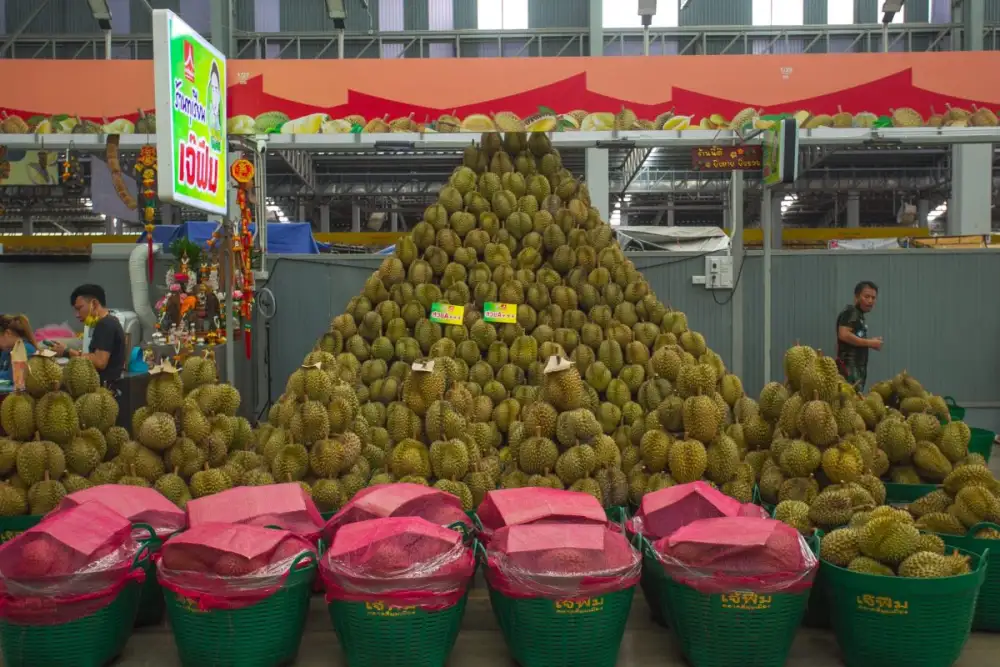 ตลาดสี่มุมเมือง อาณาจักรค้าส่ง-ปลีกผลไม้ใกล้กรุงเทพฯ จัดงานสุดยิ่งใหญ่แห่งปี ทุเรียน Expo สี่มุมเมือง 2024 วันที่ 21-26 พ.ค. 2567 นี้