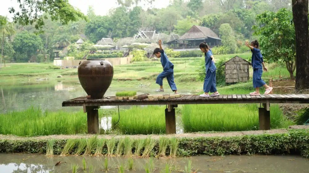 FOUR SEASONS RESORT CHIANG MAI EMBRACES #MAGENTANATURE FOR GLOBAL WELLNESS DAY