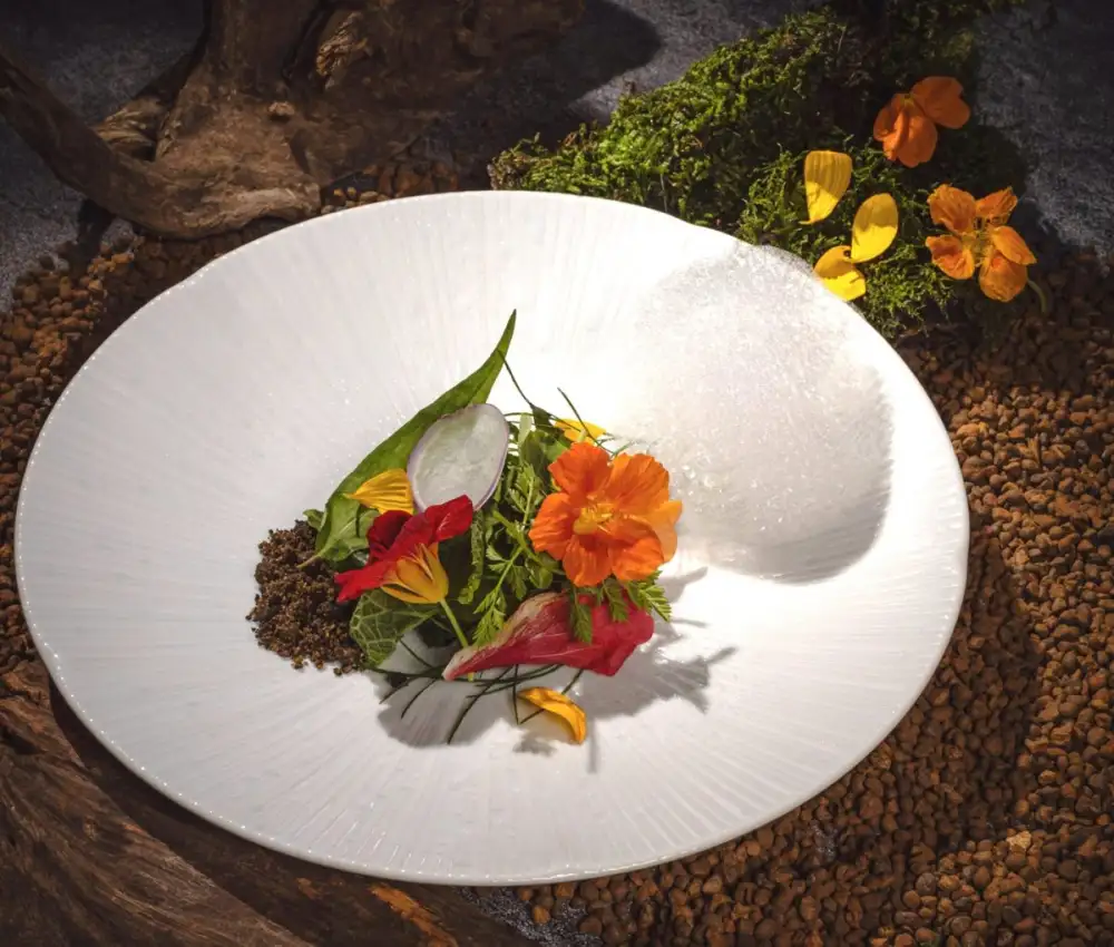 A Culinary Symphony
