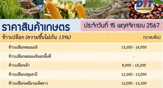 ชาวนายิ้ม! ราคาข้าวเปลือกขยับขึ้น คาดปีนี้ส่งออกทะลุ 9 ล้านตัน