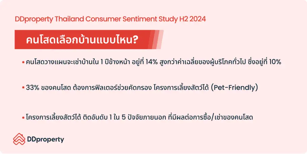 เจาะลึกหัวใจคนโสดยุค