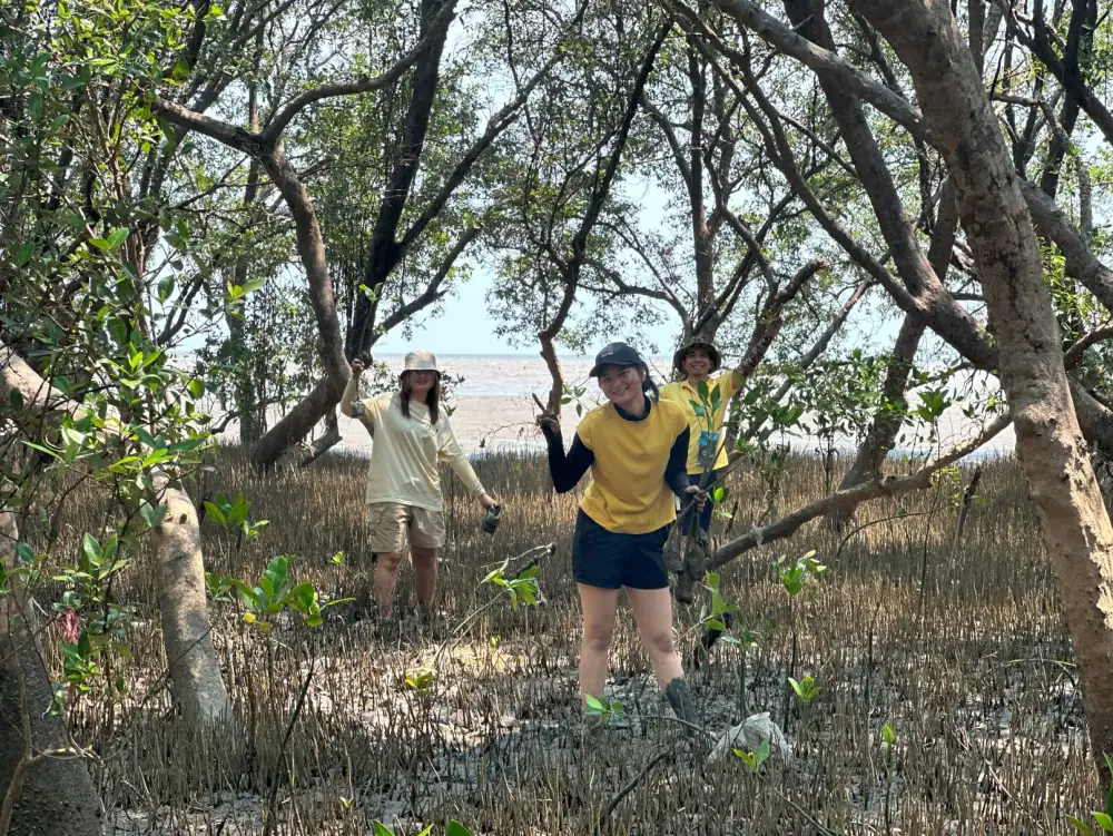 Unithai Group restores Mangrove Ecosystem on Earth Day to expand green areas and conserve the Environment