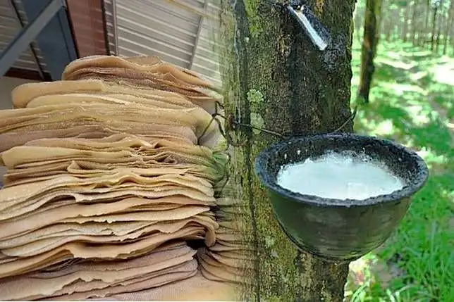 เปิดตัวเลขส่งออกสินค้าเกษตรตลาดอาเซียนและตลาดโลก มูลค่าการค้าโตต่อเนื่อง