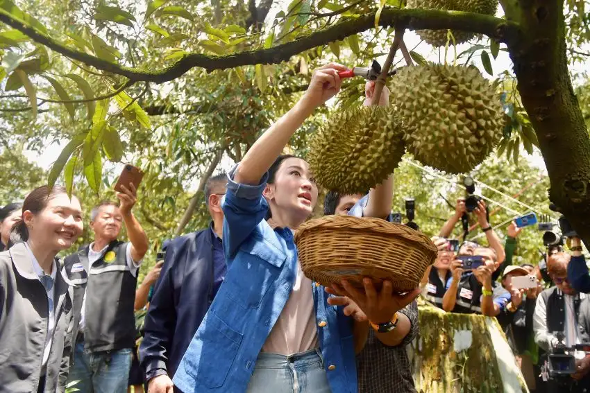 นายกฯ ร่วมโปรโมทผลไม้ไทย