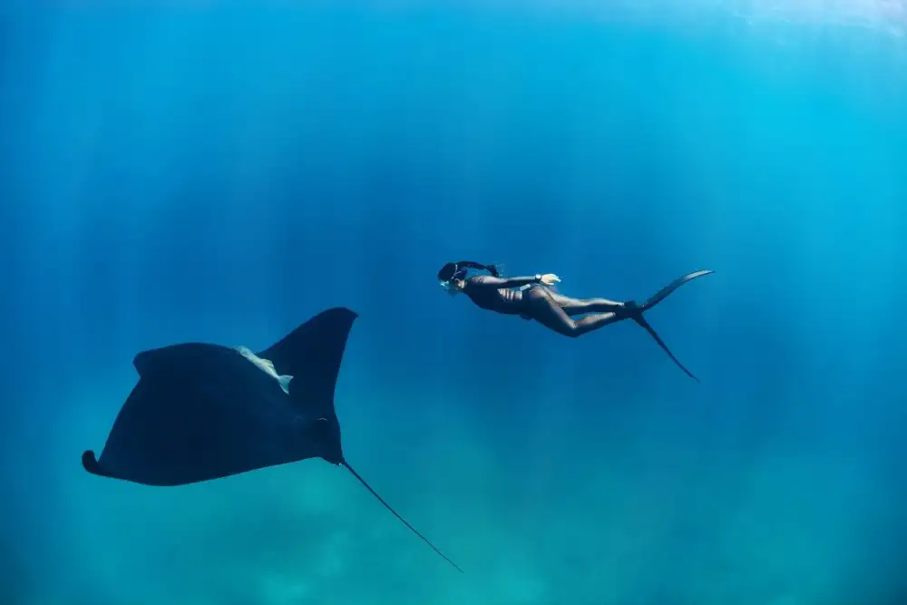 Avani+ Fares Maldives Hosts PADI AWARE Week 2025 to Celebrate Ocean Conservation