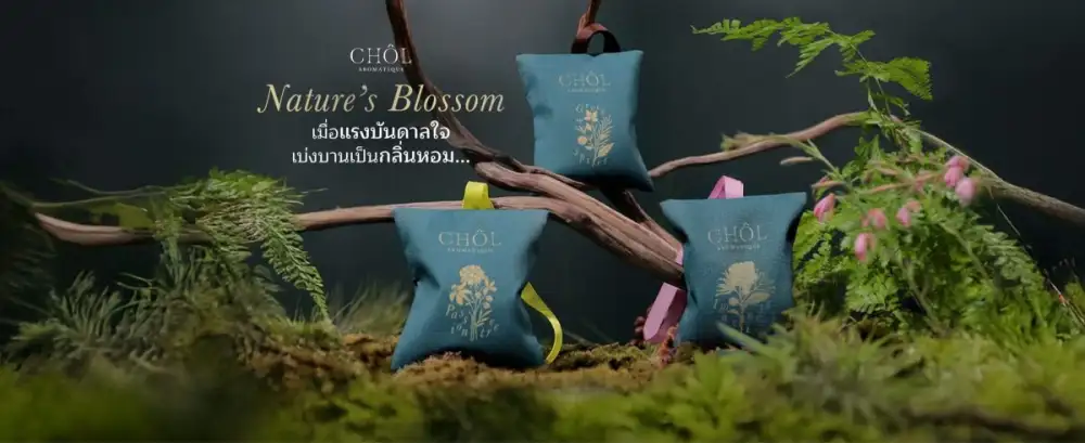 CHOL เปิดตัว
