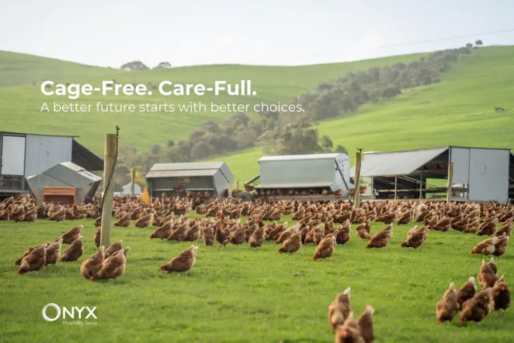 Major Hotel Group Commits to Cage-Free Eggs, as Southeast Asia's Hospitality Sector Shifts Toward Higher Animal Welfare Standards