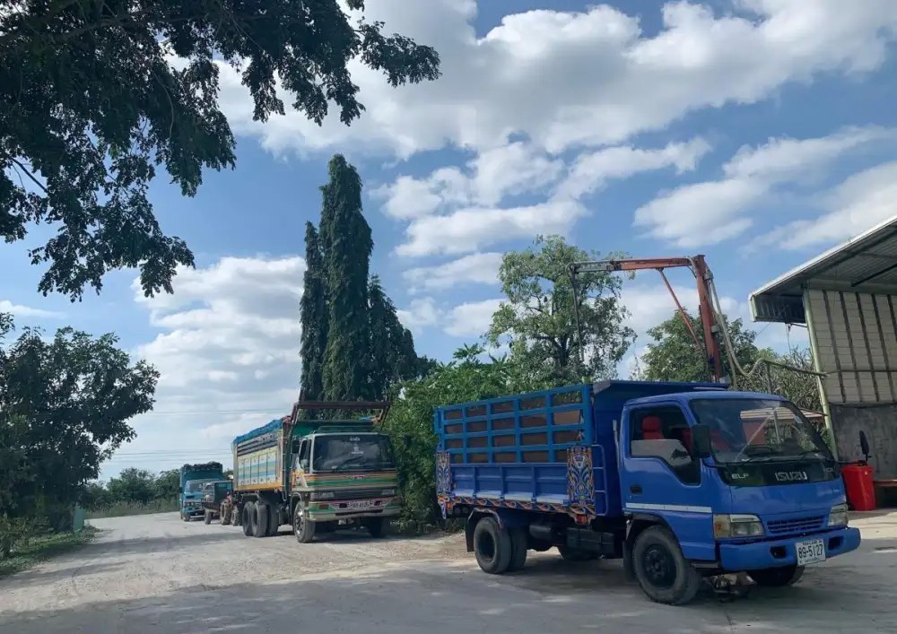 กรุงเทพโปรดิ๊วส เปิดรับซื้อข้าวโพดเลี้ยงสัตว์ทั่วประเทศ เกษตรกรมั่นใจ ผลผลิตไม่บุกรุกป่าและปลอดเผาแปลง มีตลาดรองรับแน่นอน