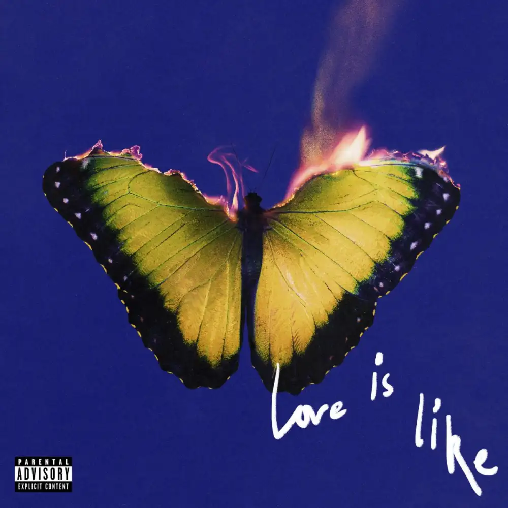 สนุกจนลืมเวลา! รวมตัวแฟน ๆ Maroon 5 ชาวไทย ร่วมฟังเพลงเพราะจากอัลบั้มใหม่ Love Is Like ชมการแสดงสดสุดเท่จาก อะตอม ชนกันต์ กลับบ้านพร้อมรอยยิ้มกันถ้วนหน้า