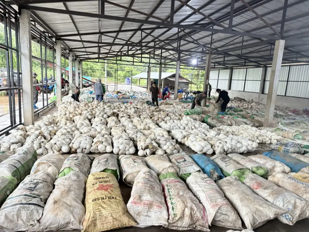 กยท. ทุ่มงบ 2,280 ล้าน ขับเคลื่อนมาตรการรักษาเสถียรภาพราคายาง คาดดูดซับยาง 2.5 แสนตัน/ปี