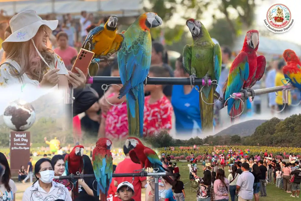 เขาชะงุ้มฯ ขอเชิญเที่ยวงาน 