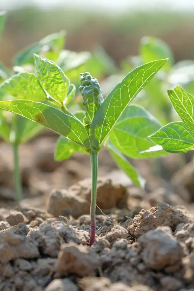 เกษตรฯ ชวน