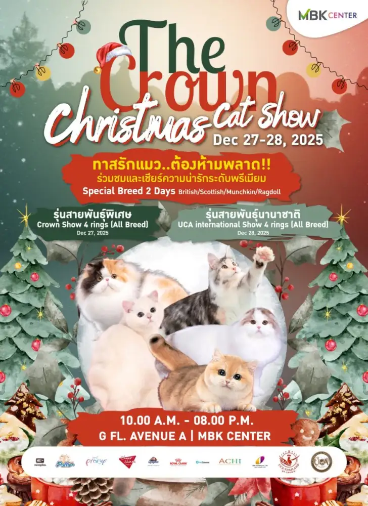 เอ็ม บี เค เซ็นเตอร์ ชวนทาสแมวสัมผัสความน่ารักเปี่ยมเสน่ห์ในงาน 