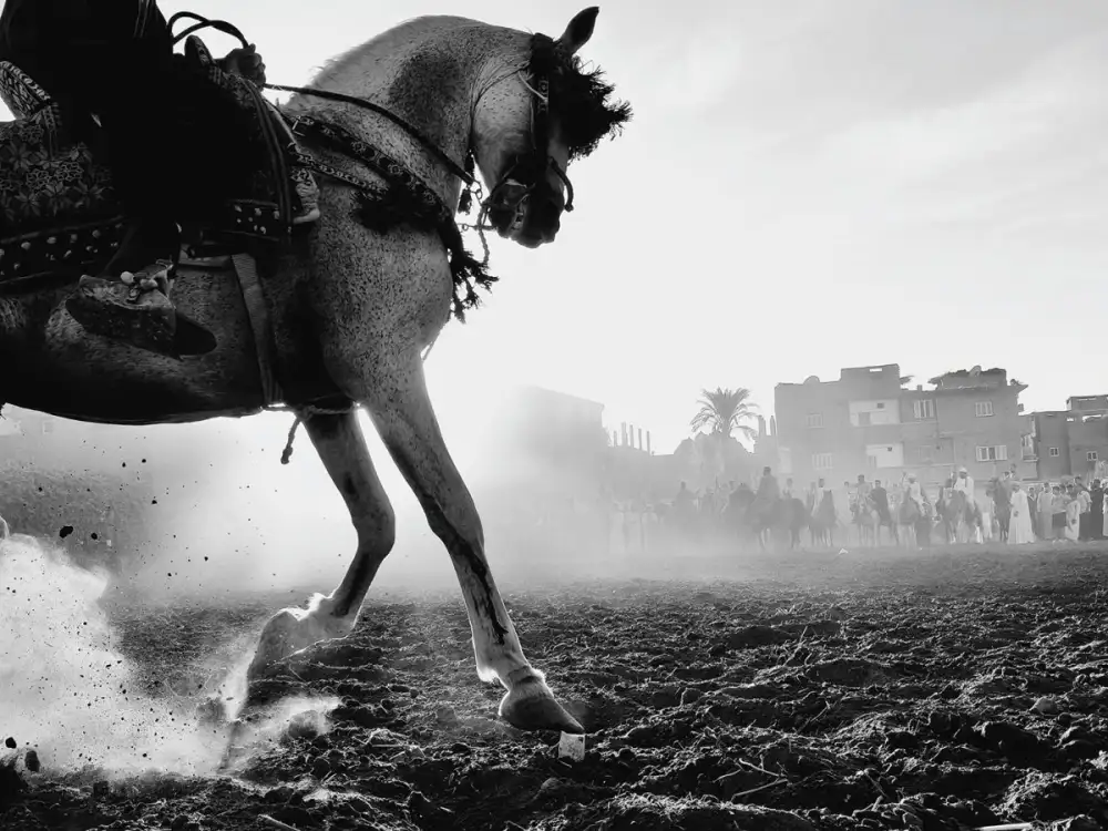 OPPO ประกาศผู้ชนะการประกวดภาพถ่ายระดับโลกประจำปี 2568 พร้อมเปิดตัวภาพถ่ายช่วงเวลาโมเมนต์สุดพิเศษ