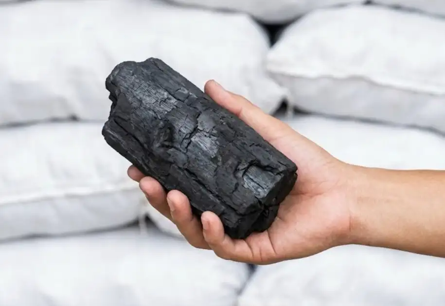 สวนทรายงาม เปิดตัวโครงการ 