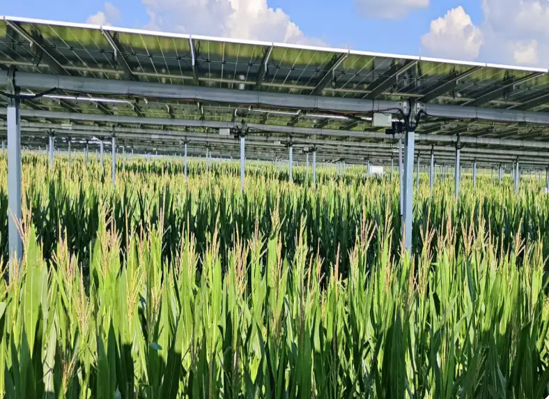 Empowering Tomorrow: Top 5 Solar Energy Innovations Driving Thailand Transformation in 2026