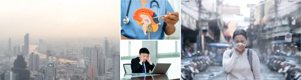 ฝุ่นร้ายทำลายสมอง แพทย์ รพ.วิมุต เตือน สูดฝุ่น