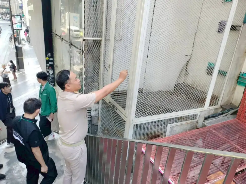 เขตปทุมวันสั่งเก็บป้ายห้ามให้อาหารแมวจรจัดในพื้นที่-เดินหน้าให้บริการทำหมัน-ฉีดวัคซีนป้องกันโรคพิษสุนัขบ้า