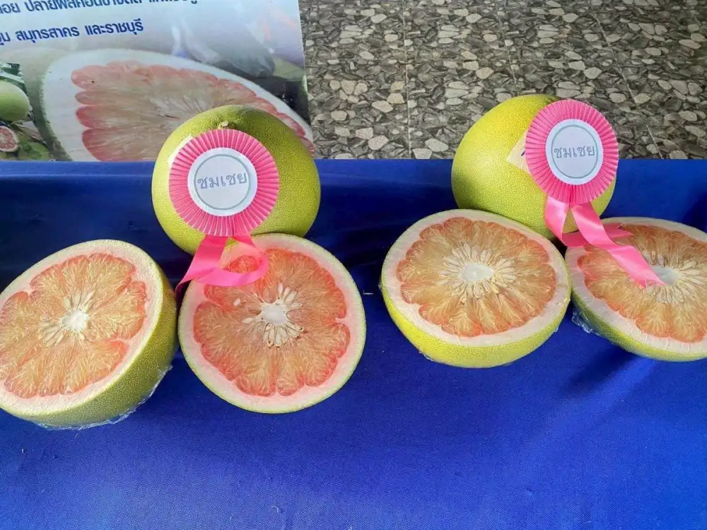 กรมทรัพย์สินทางปัญญา ประกาศ 