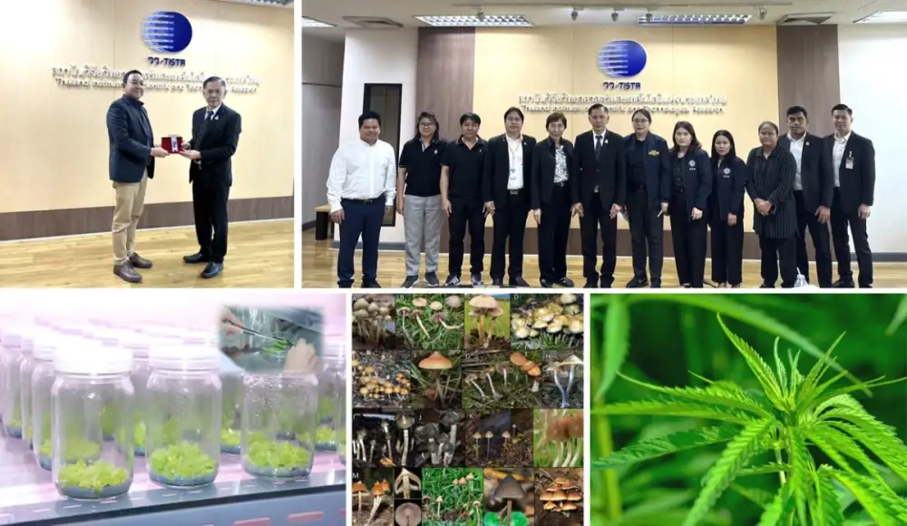 วว. ผนึกกำลัง ป.ป.ส. มุ่งยกระดับมาตรฐานพืชเศรษฐกิจและการแพทย์