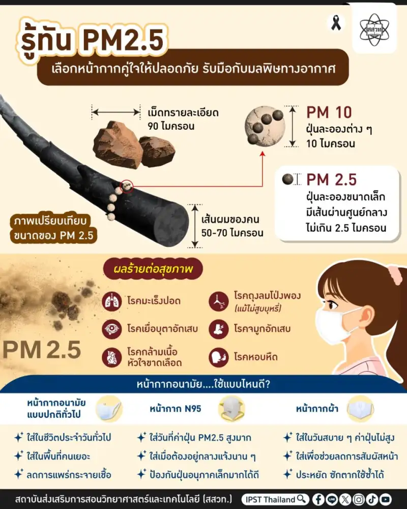 รู้ทัน PM2.5 เลือกหน้ากากคู่ใจ ให้ปลอดภัย (แบบตัวมัม) รับมือกับมลพิษทางอากาศ