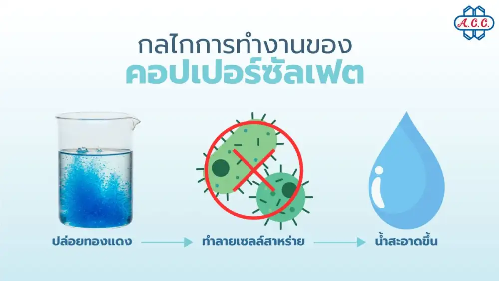 เจาะลึกบทบาท คอปเปอร์ซัลเฟต ในการบำบัดน้ำเสียอุตสาหกรรม เทคนิคควบคุมจุลินทรีย์และสาหร่ายเพื่อคุณภาพน้ำที่เป็นมิตรต่อสิ่งแวดล้อม