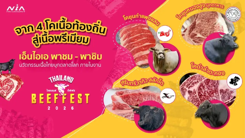 ลืมภาพจำเนื้อไทยแบบเดิม! เอ็นไอเอ 