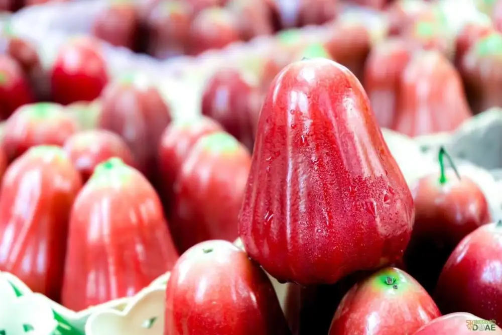 กรมทรัพย์สินทางปัญญา ประกาศ 