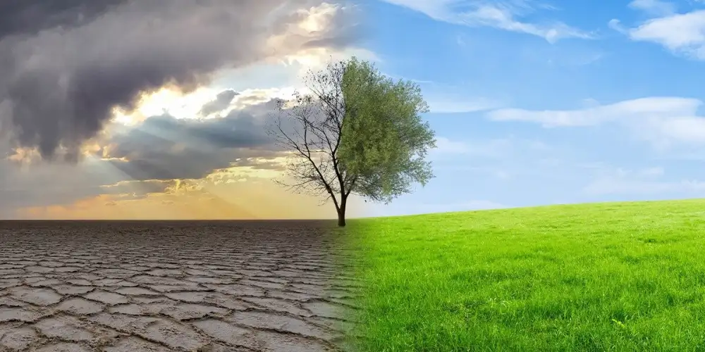 โลกรวน เขย่าเศรษฐกิจโลก ไทยจะตั้งหลักอย่างไรในโลกการลงทุนยุคใหม่