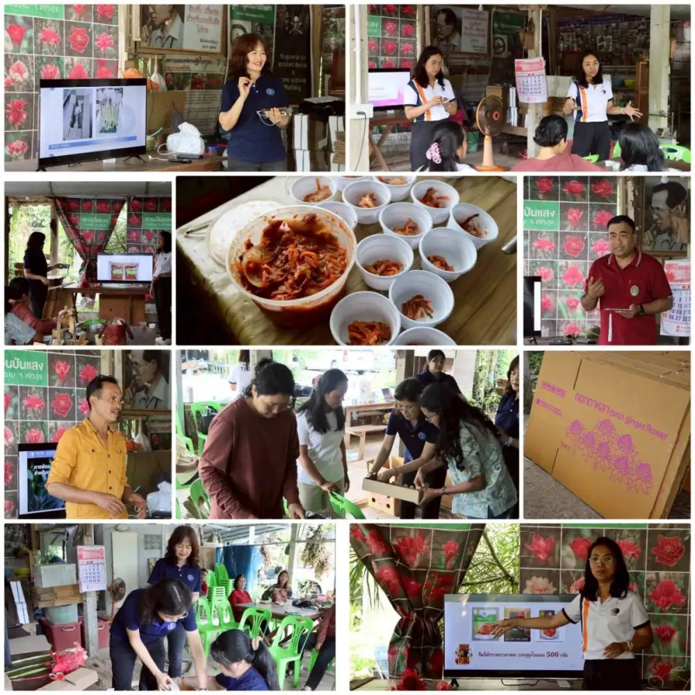 วว. ถ่ายทอดองค์ความรู้เพิ่มมูลค่าทางการตลาดพืชท้องถิ่น จังหวัดพัทลุง...ขับเคลื่อนโมเดลเศรษฐกิจ BCG ให้ยั่งยืน