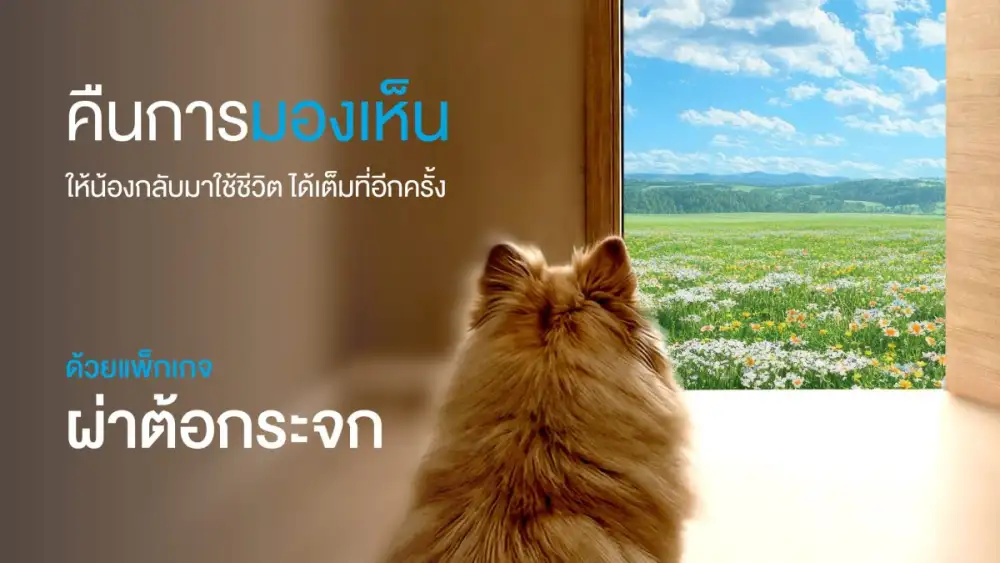 รพ.สัตว์ทองหล่อ ส่งมอบของขวัญวาเลนไทน์สุดซึ้ง คืนการมองเห็นให้สัตว์เลี้ยงสูงวัยด้วยเทคโนโลยีสลายต้อกระจก PHAECO คืนโลกใบใหม่ให้