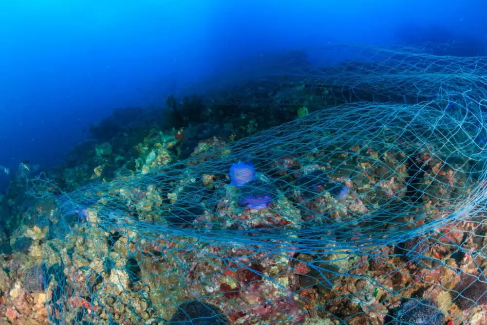 จากอวนผีสู่วัสดุตั้งต้นการพิมพ์สามมิติ จุฬาฯ พัฒนาต้นแบบนวัตกรรมรีไซเคิล เปลี่ยนขยะทะเลเป็นเทคโนโลยีแห่งอนาคต