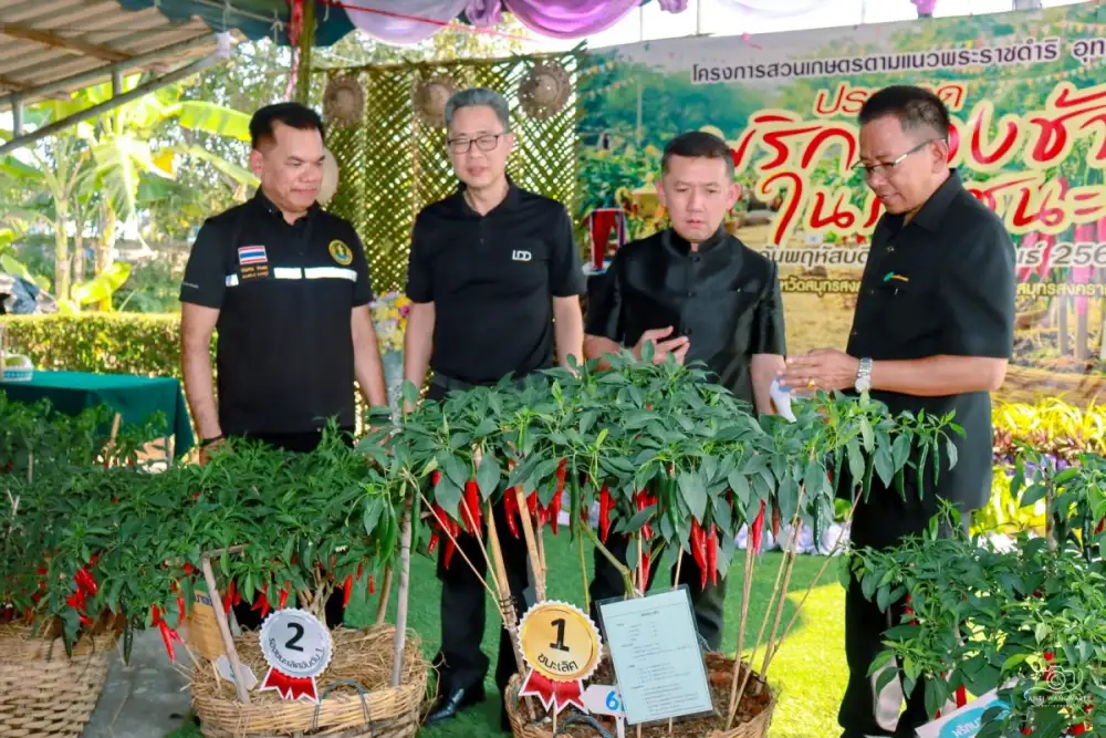 สำนักงานส่งเสริมและพัฒนาการเกษตรที่ 2 จังหวัดราชบุรี จับมือสำนักงานเกษตรจังหวัดสมุทรสงคราม 7 จังหวัดภาคตะวันตก ประกวดพริกบางช้างในภาชนะ ประจำปีงบประมาณ 2569 ภายใต้แนวคิด นำพริกบางช้างกลับคืนถิ่น