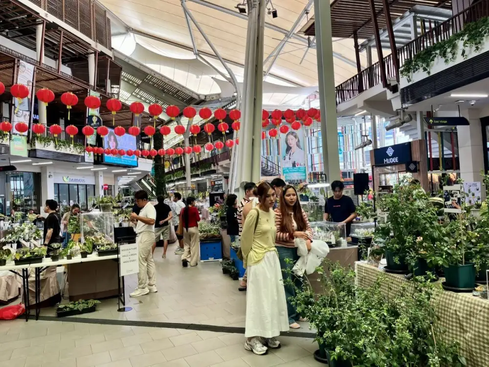 วงการไม้ใบด่างคึกคัก Colorful Foliage #7 งาน Colorful Hybrid Aroid Fair 2026 รวมนวัตกรรมลูกผสมสายพันธุ์ใหม่ แรร์ไอเทมในและต่างประเทศ ที่เดอะไนน์ เซ็นเตอร์ พระราม 9