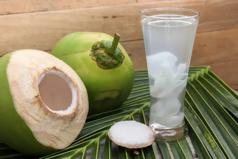 กรมทรัพย์สินทางปัญญา พา