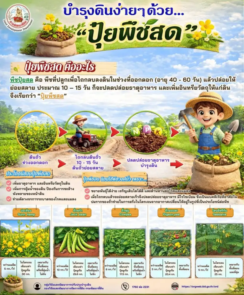 ดินดีเริ่มได้ง่าย ๆ แค่