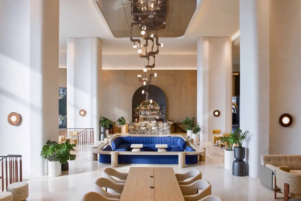 A Symphony of Cocoa Elegance  Discover 