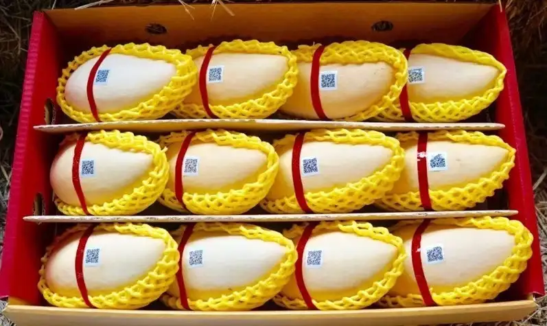 กรมทรัพย์สินทางปัญญา เปิดโผ Top 5