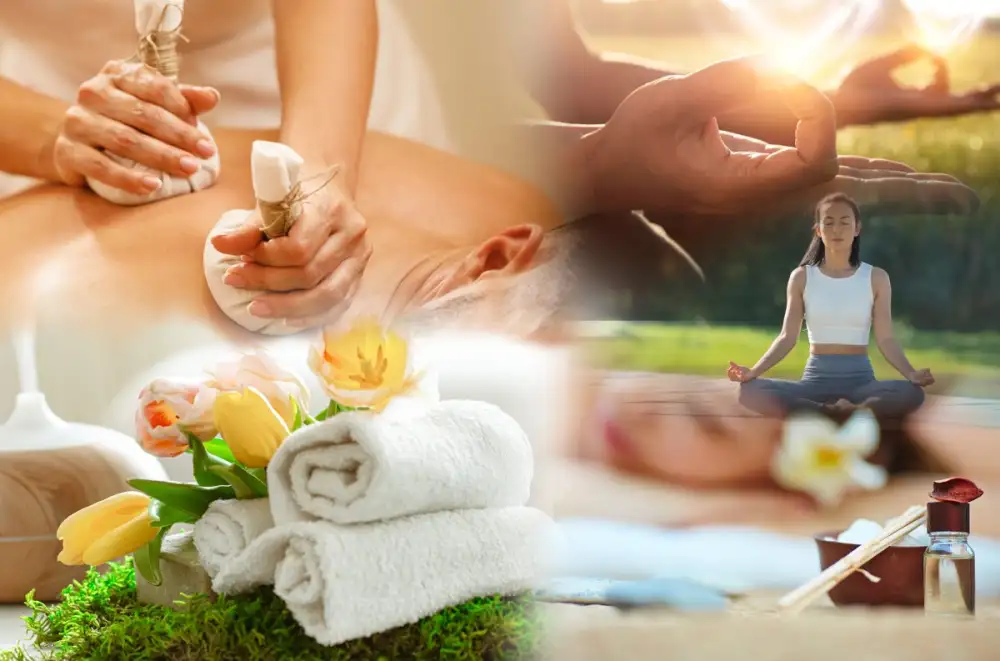 สบส. ปักหมุด Medical & Wellness 77 จังหวัด ดันสมุนไพรไทย-นวดไทย เป็น Soft Power สร้างมูลค่าเศรษฐกิจสุขภาพไทยสู่เวทีโลก