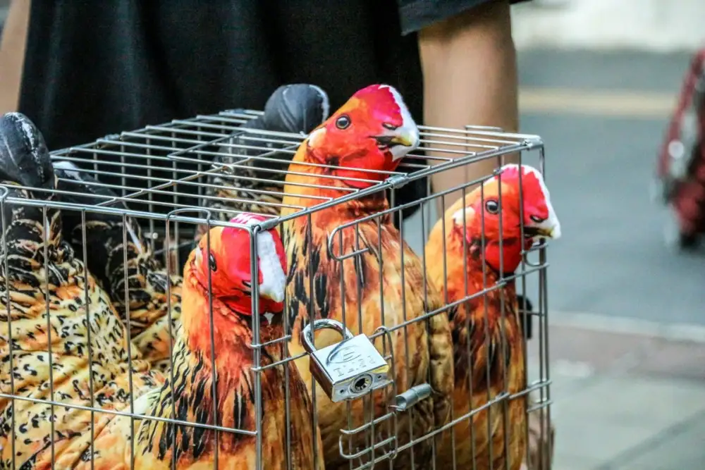 นักรณรงค์เรียกร้องธุรกิจไทยเปิดเผยความคืบหน้านโยบาย 