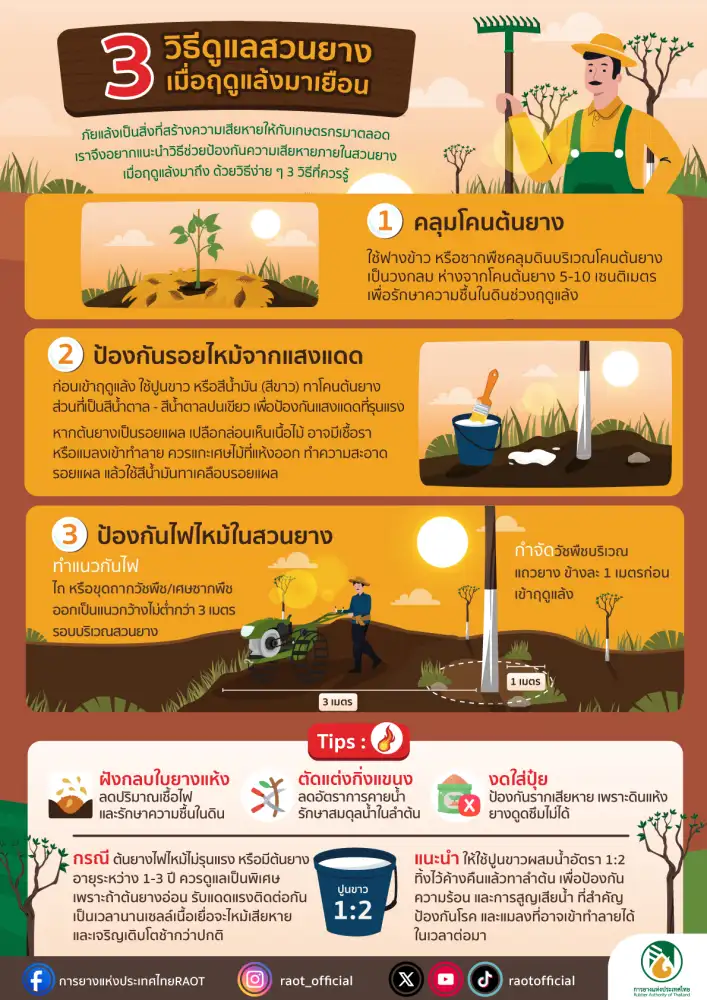 แล้งนี้ต้องเตรียมพร้อม ! กยท. แนะชาวสวนยางเสริมเกราะป้องกันดูแล-รักษาต้นยาง