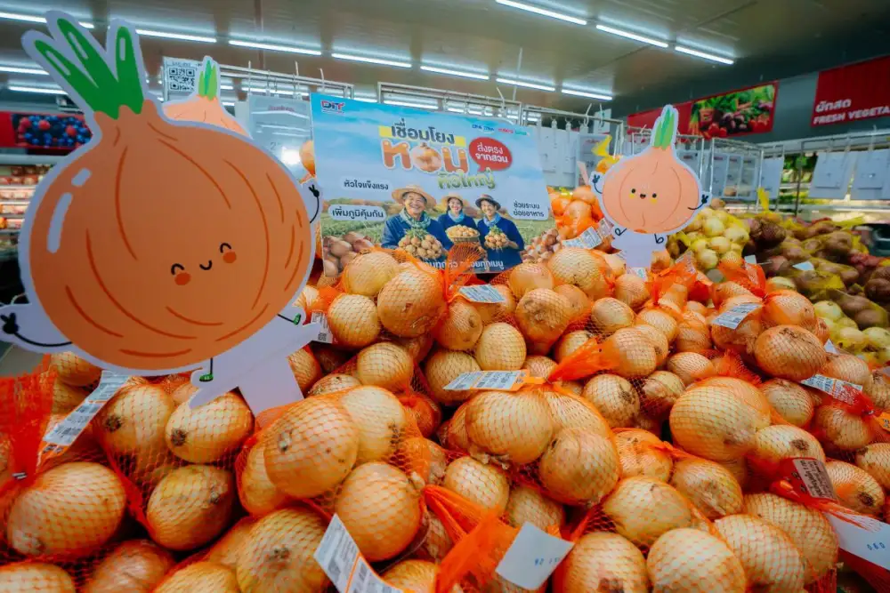 'แม็คโคร-โลตัส' รับซื้อหอมหัวใหญ่เชียงใหม่ 6,000 ตัน เร่งกระจายผลผลิตทั่วประเทศ ช่วยพยุงราคาสินค้าเกษตร