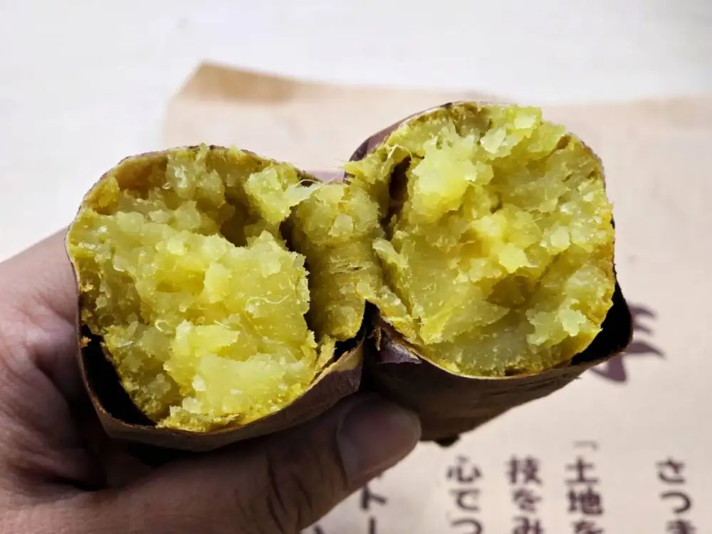 กรมทรัพย์สินทางปัญญา ขับเคลื่อนภารกิจเชิงรุกด้าน GI บุกแดนอาทิตย์อุทัย ศึกษาโมเดลเกษตรมูลค่าสูงถึงแหล่งปลูกมันหวานญี่ปุ่น ตั้งเป้ายกระดับศักยภาพ GI ไทยสู่ตลาดพรีเมียมโลก