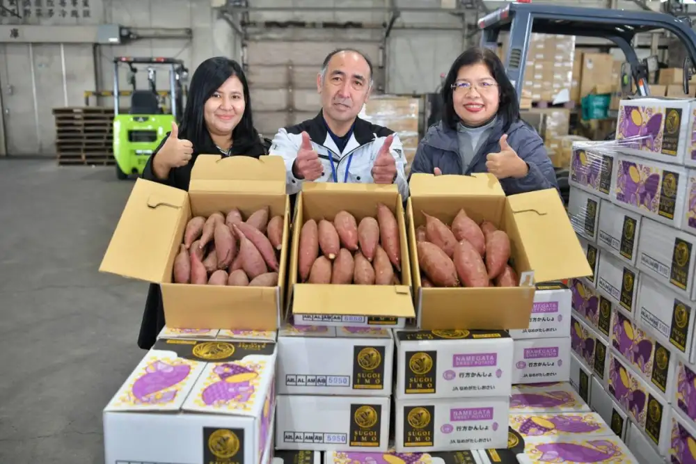 กรมทรัพย์สินทางปัญญา ขับเคลื่อนภารกิจเชิงรุกด้าน GI บุกแดนอาทิตย์อุทัย ศึกษาโมเดลเกษตรมูลค่าสูงถึงแหล่งปลูกมันหวานญี่ปุ่น ตั้งเป้ายกระดับศักยภาพ GI ไทยสู่ตลาดพรีเมียมโลก