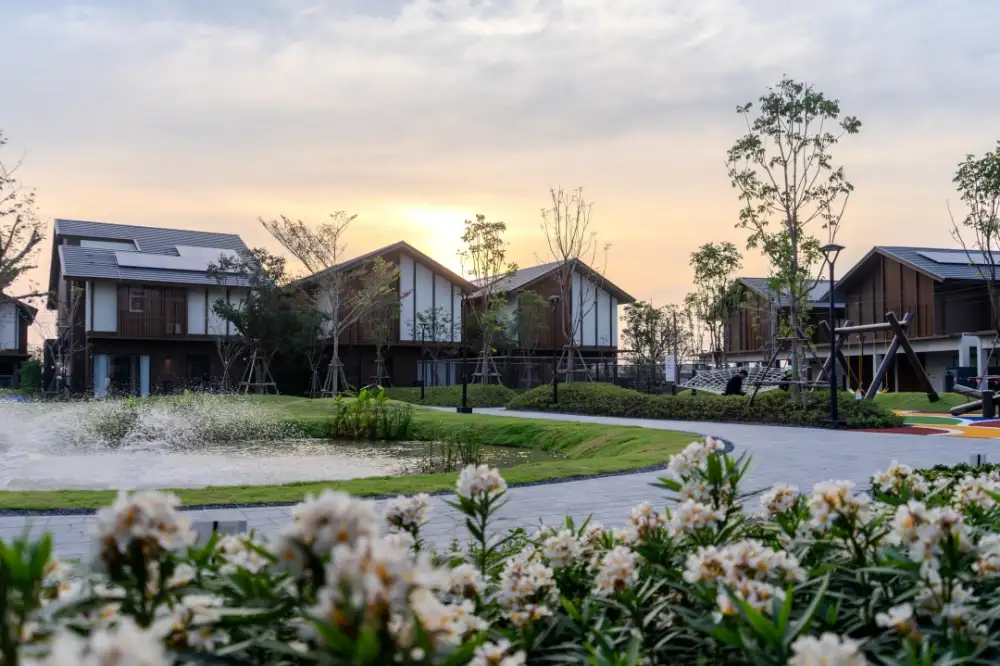 ดี-แลนด์ กรุ๊ป เปิดตัว 