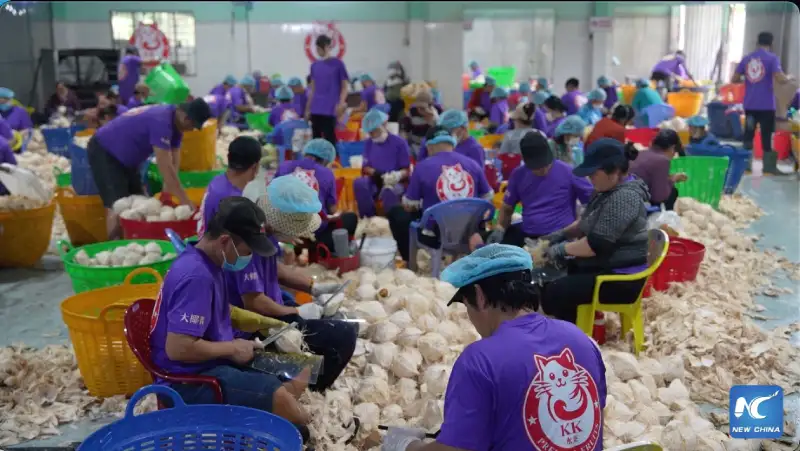 เวียดนามหวั่นส่งออกสินค้าเกษตรส่อร่วงนับพันล้านดอลล์ หากสงครามตะวันออกกลางยืดเยื้อ